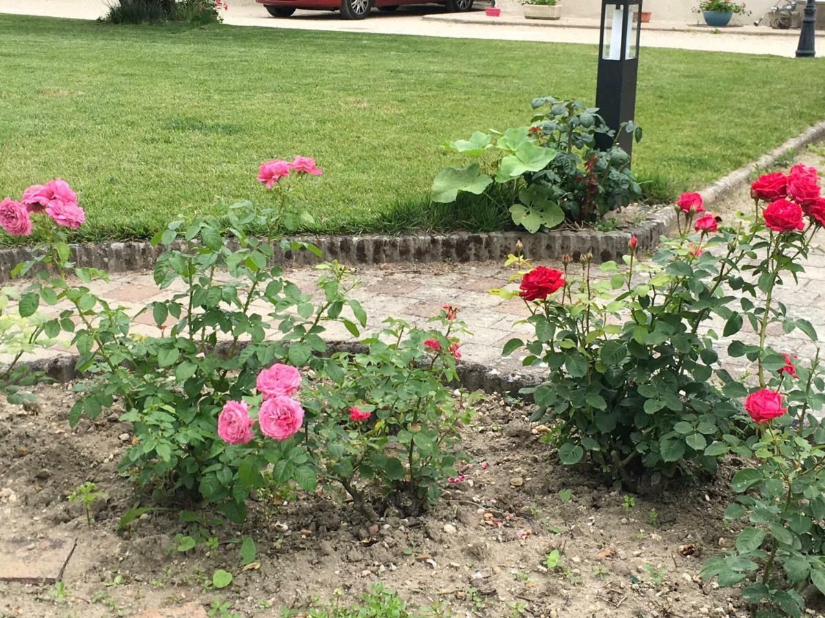 Bed and Breakfast Manoir Le Bout Du Pont Huisseau-sur-Cosson Exterior foto