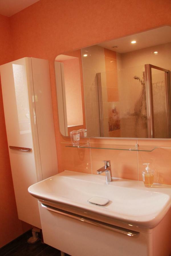 Bed and Breakfast Manoir Le Bout Du Pont Huisseau-sur-Cosson Exterior foto